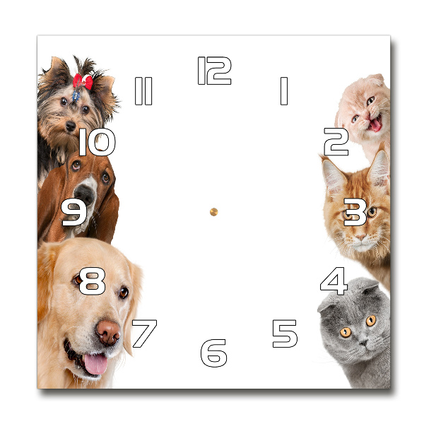 Reloj cuadrado Perros y gatos