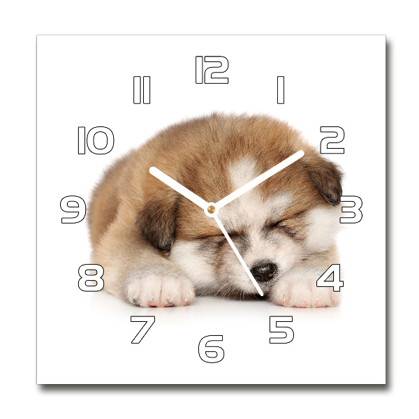 Reloj de pared cuadrado Cachorro de Akita
