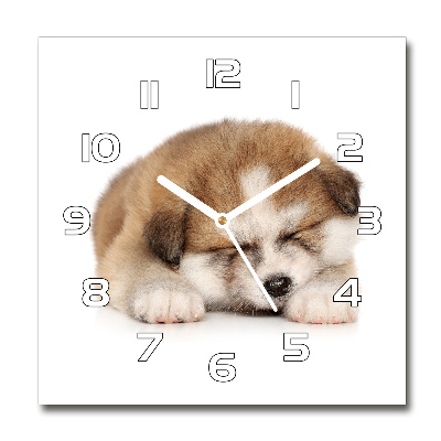 Reloj de pared cuadrado Cachorro de Akita