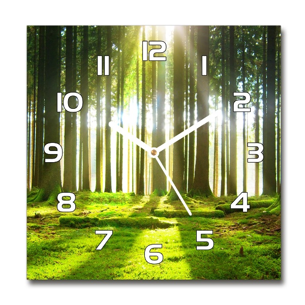 Reloj cuadrado Bosque al sol