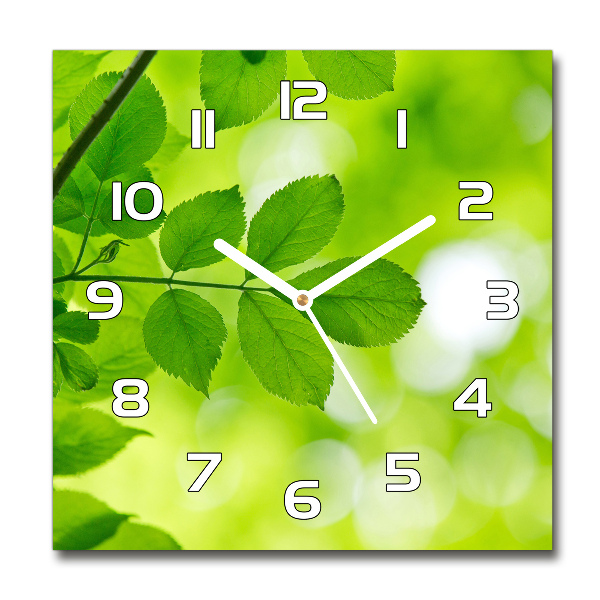 Reloj de pared cuadrado hojas verdes