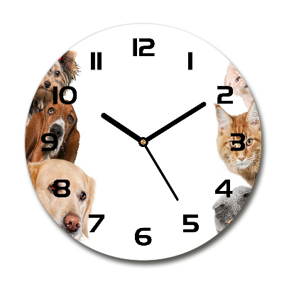 Reloj redondo pared Perros y gatos
