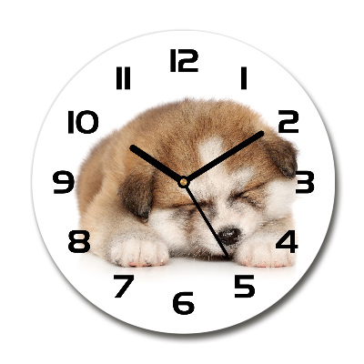 Reloj de pared redondo Cachorro de Akita