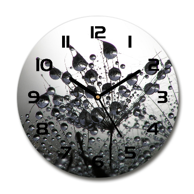 Reloj de pared redondo semillas de diente de león