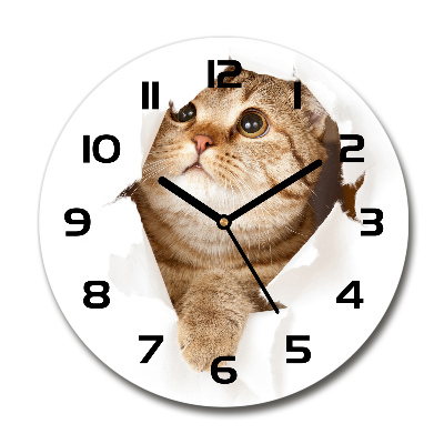 Reloj redondo pared Gato
