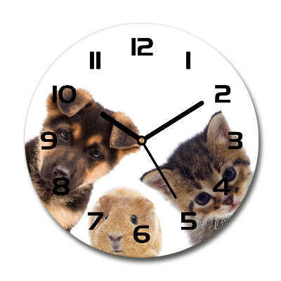 Reloj de pared redondo Mascotas
