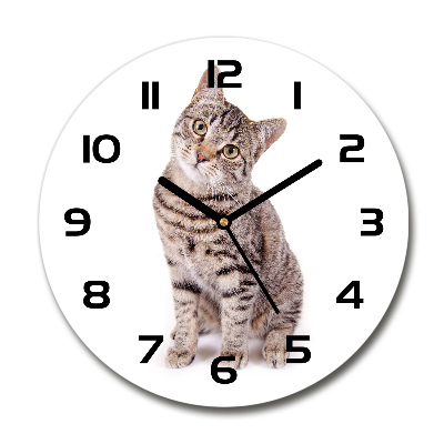 Reloj de pared redondo Gato