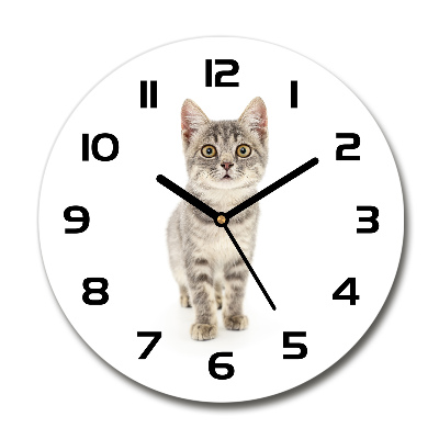 Reloj redondo pared gato gris