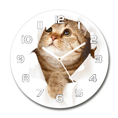 Reloj redondo pared Gato