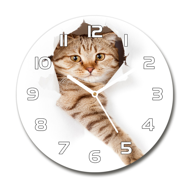 Reloj de cristal redondo Gato