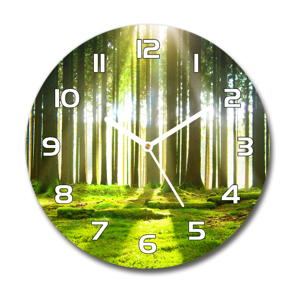 Reloj de pared redondo Bosque al sol