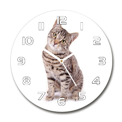 Reloj de pared redondo Gato