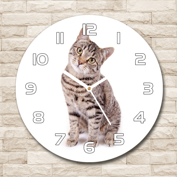 Reloj de pared redondo Gato