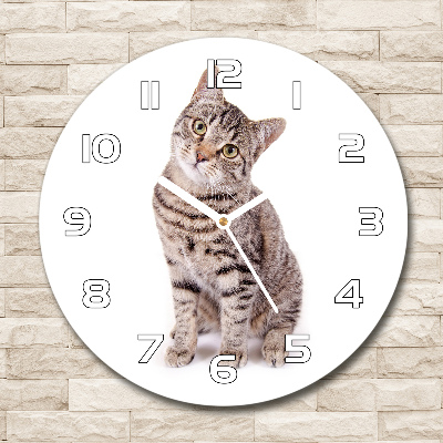 Reloj de pared redondo Gato