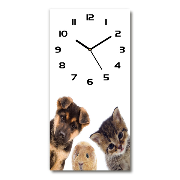 Reloj rectangular Mascotas