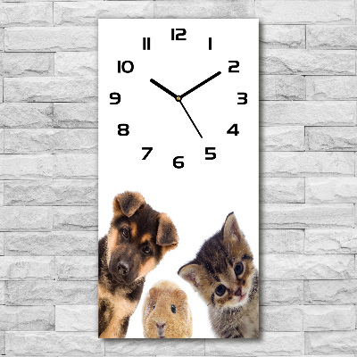 Reloj rectangular Mascotas