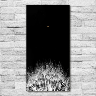 Zegar ścienny Nasiona dmuchawca