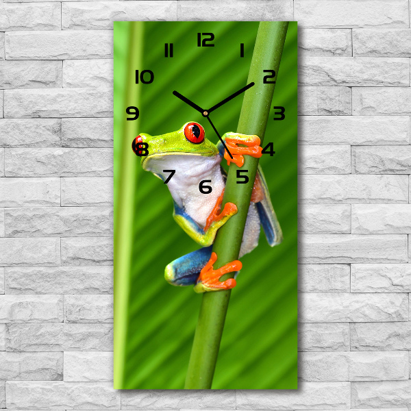 Zegar ścienny cichy Rzekotka drzewna