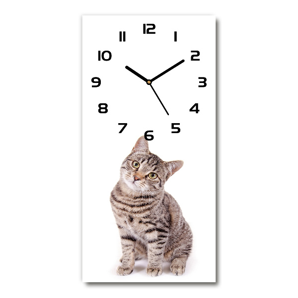 Reloj rectangular Gato