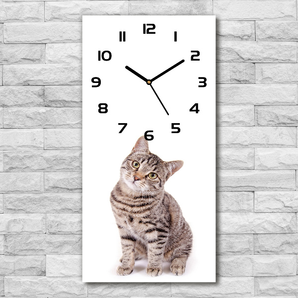 Reloj rectangular Gato