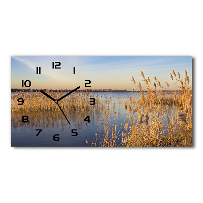 Zegar ścienny szklany cichy Trzcina wodna
