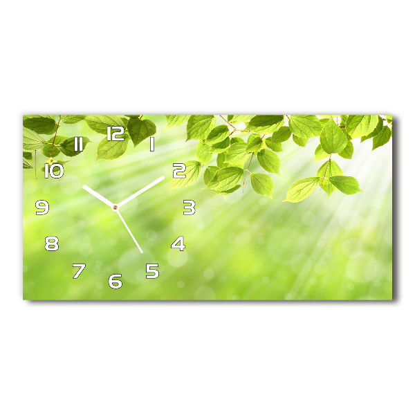 Reloj de cristal horizontal Hojas