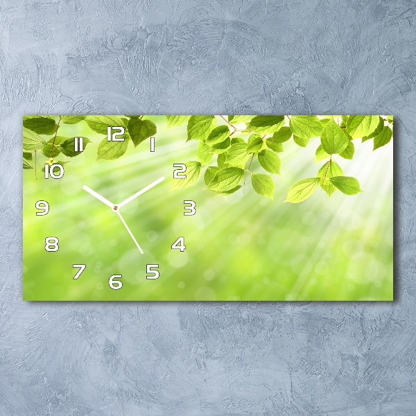 Reloj de cristal horizontal Hojas