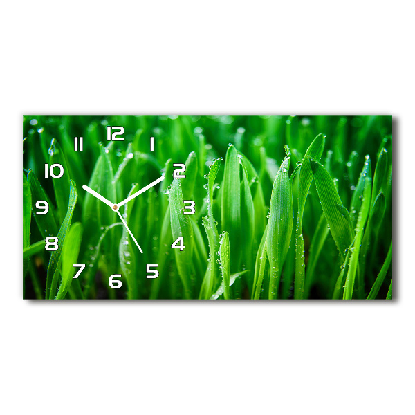 Reloj horizontal Césped