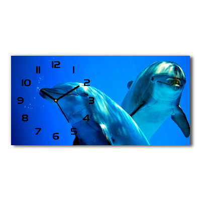 Reloj de cristal horizontal Dos delfines