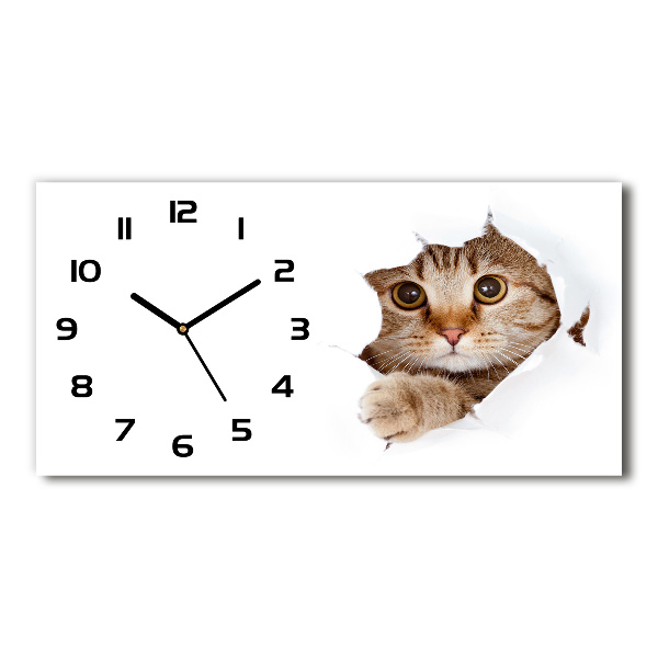 Reloj rectangular Gato