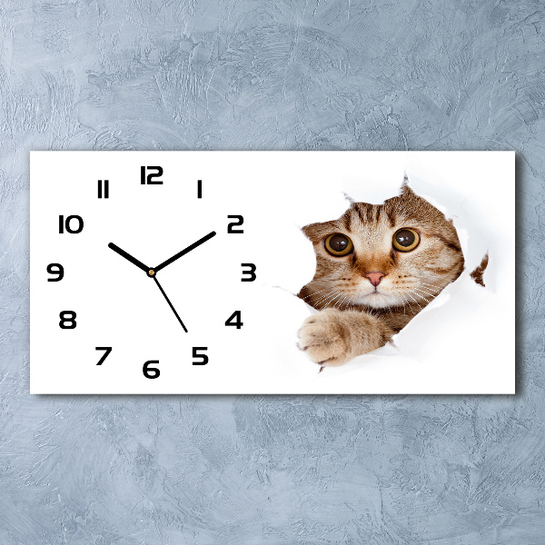 Reloj rectangular Gato