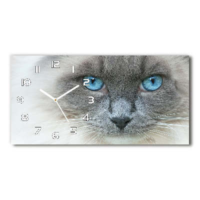 Reloj horizontal Gato de ojos azules