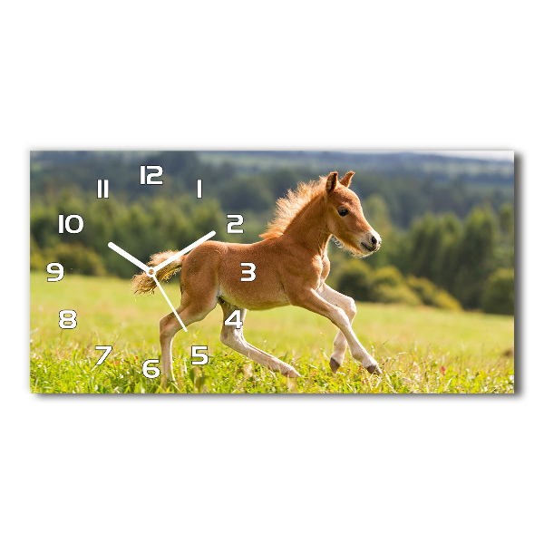 Reloj horizontal Un potro galopando