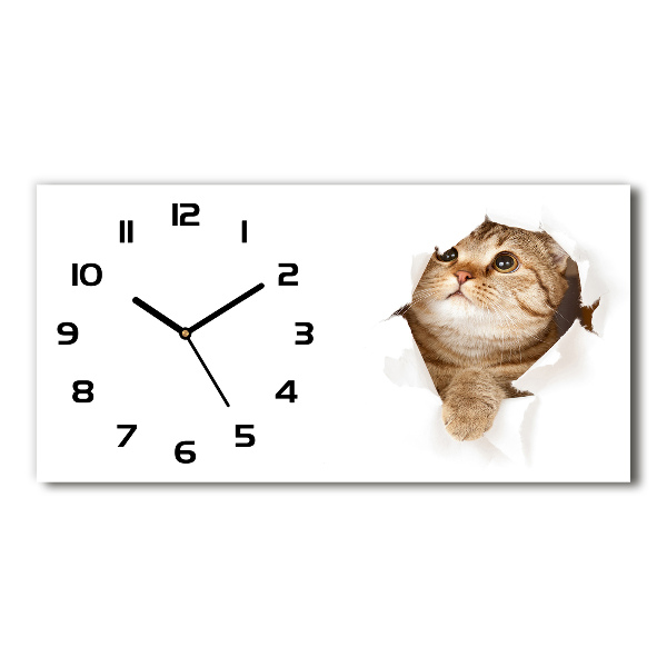 Reloj horizontal Gato