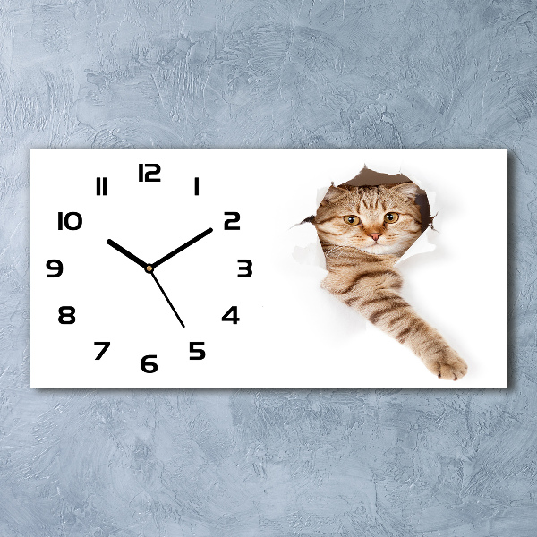 Reloj de cristal horizontal Gato