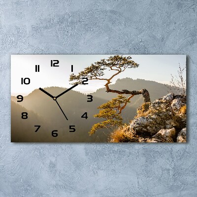 Zegar ścienny szklany Sokolica Pieniny