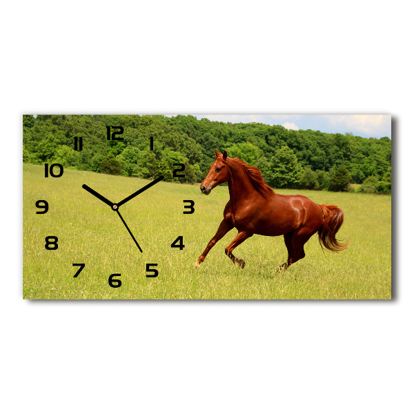 Reloj horizontal Un caballo en el prado