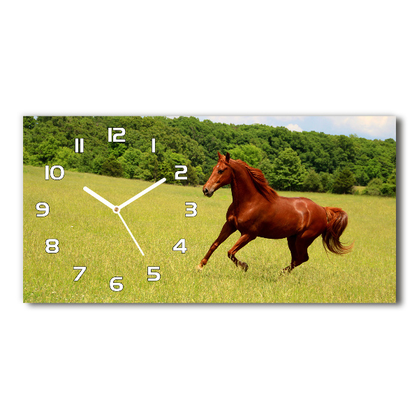 Reloj horizontal Un caballo en el prado