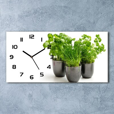 Zegar ścienny szklany Zioła w doniczkach