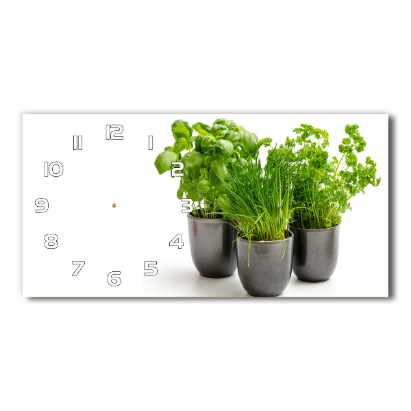 Reloj de cristal horizontal Hierbas en macetas