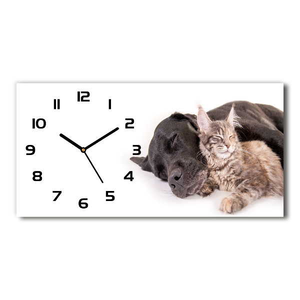 Reloj de cristal horizontal Perro con gato