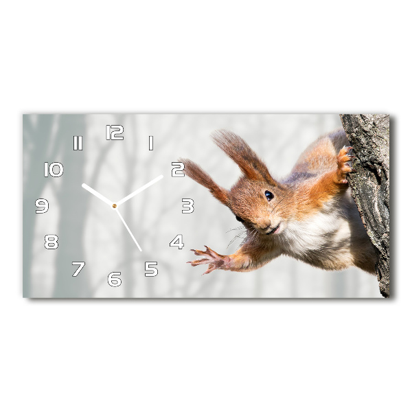 Reloj horizontal Ardilla