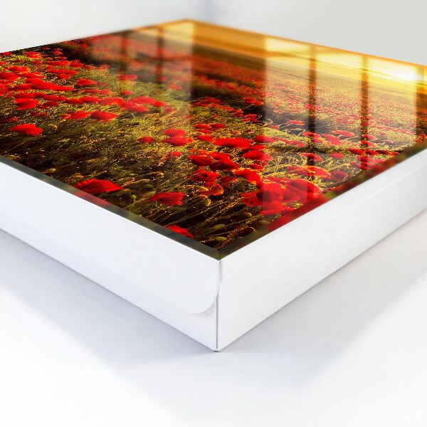 Armario para llaves con diseño de campos de amapolas