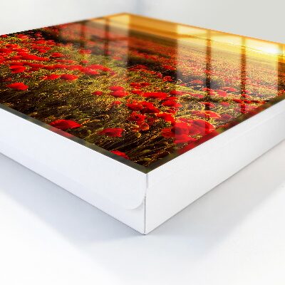 Armario para llaves con diseño de campos de amapolas