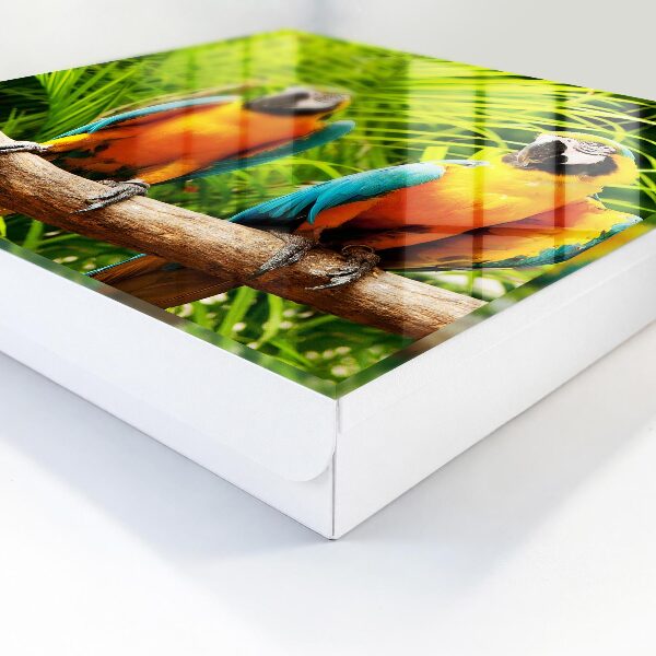 Caja para llaves con diseño de aves tropicales