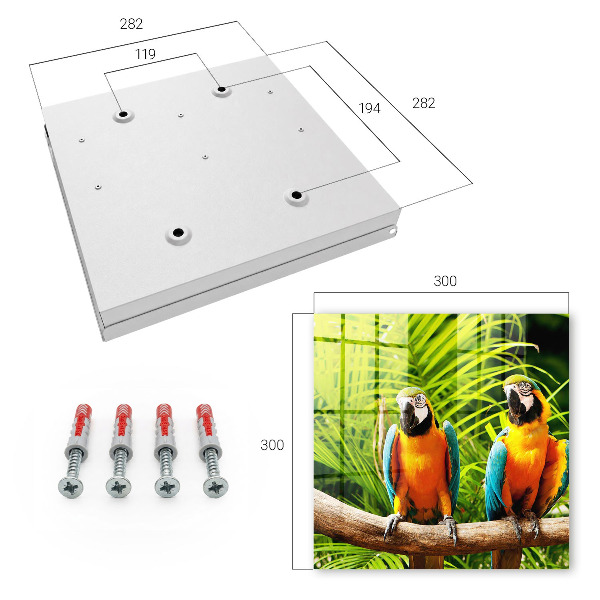 Caja para llaves con diseño de aves tropicales