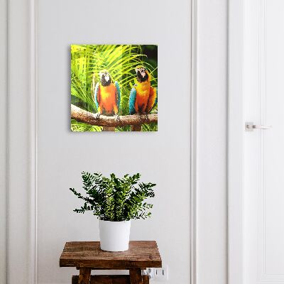 Caja para llaves con diseño de aves tropicales