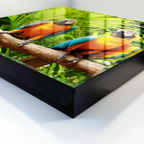 Caja para llaves con diseño de aves tropicales