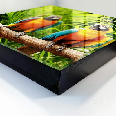 Caja para llaves con diseño de aves tropicales