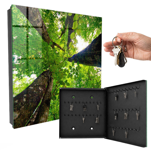 Caja para llaves diseño cielo del bosque